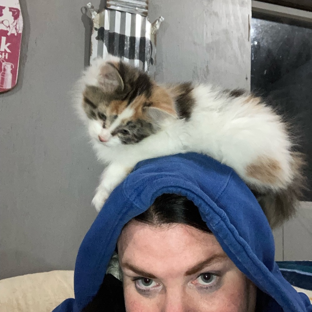 Meet your Posher, Christine